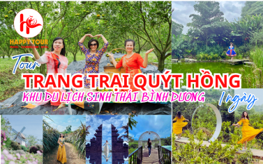 TOUR VƯỜN QUÝT HỒNG - DU LỊCH SINH THÁI BÌNH DƯƠNG