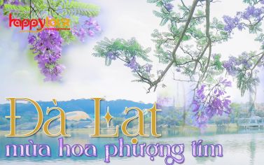 TOUR ĐÀ LẠT 3 NGÀY 3 ĐÊM - MÙA HOA PHƯỢNG TÍM 