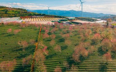 COPY - TOUR NHA TRANG - ĐÀ LẠT 4 NGÀY 4 ĐÊM - TẾT 2027
