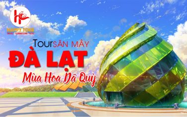 TOUR ĐÀ LẠT SĂN MÂY 3 NGÀY 3 ĐÊM - MÙA HOA DÃ QUỲ 