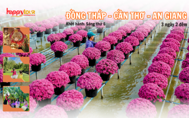TOUR ĐỒNG THÁP – CẦN THƠ – AN GIANG 3 NGÀY 2 ĐÊM