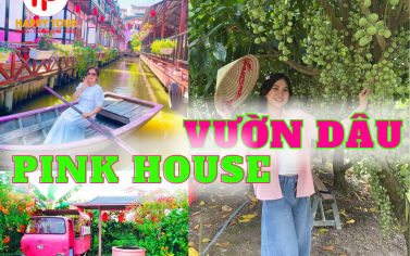 TOUR ĐỒNG THÁP - VƯỜN DÂU - PINKHOUSE 1 NGÀY