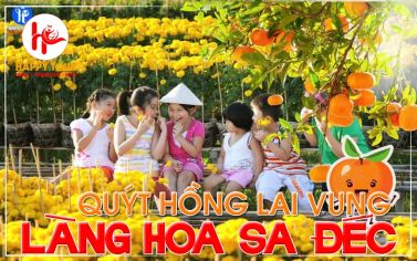 TOUR LÀNG HOA SA ĐÉC - QUÝT HỒNG LAI VUNG 1 NGÀY