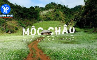 TOUR MỘC CHÂU - THÁC DẢI YẾM - HÀ NỘI 3 NGÀY 3 ĐÊM-PY