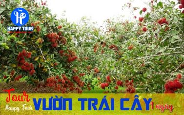 TOUR BẾN TRE - VƯỜN CHÔM CHÔM - DU LỊCH MIỆT VƯỜN 1 NGÀY