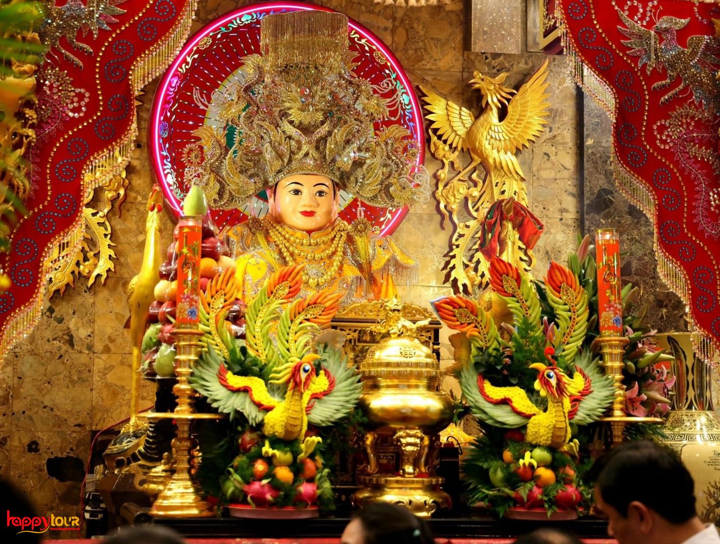 TOUR CHÂU ĐỐC AN GIANG 1 NGÀY THAM QUAN RỪNG TRÀM TRÀ SƯ XANH MƯỚT
