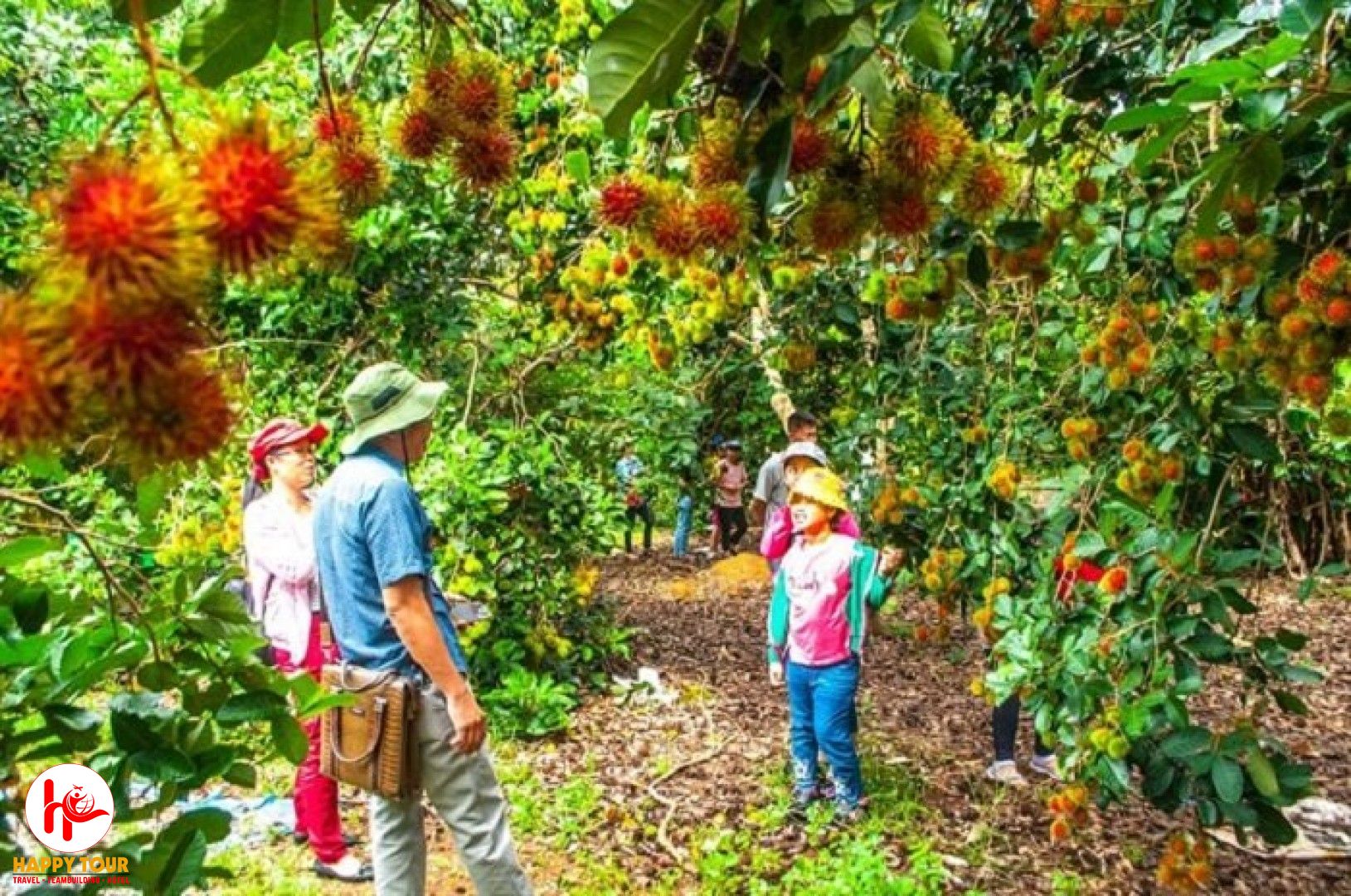 Tour Bến Tre - Cù Lao Thới Sơn - Vườn Chôm Chôm 1 ngày